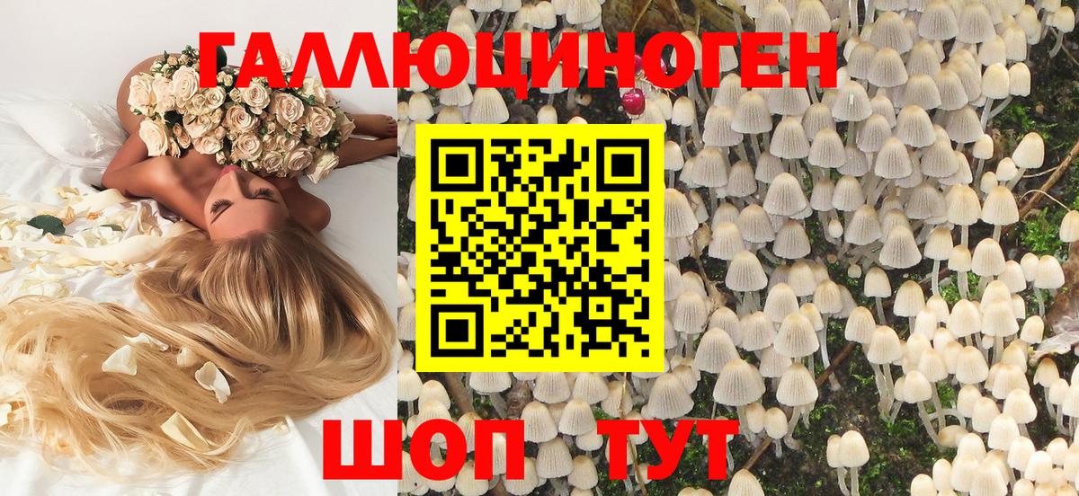 Псилоцибиновые грибы прущие грибы Губкинский