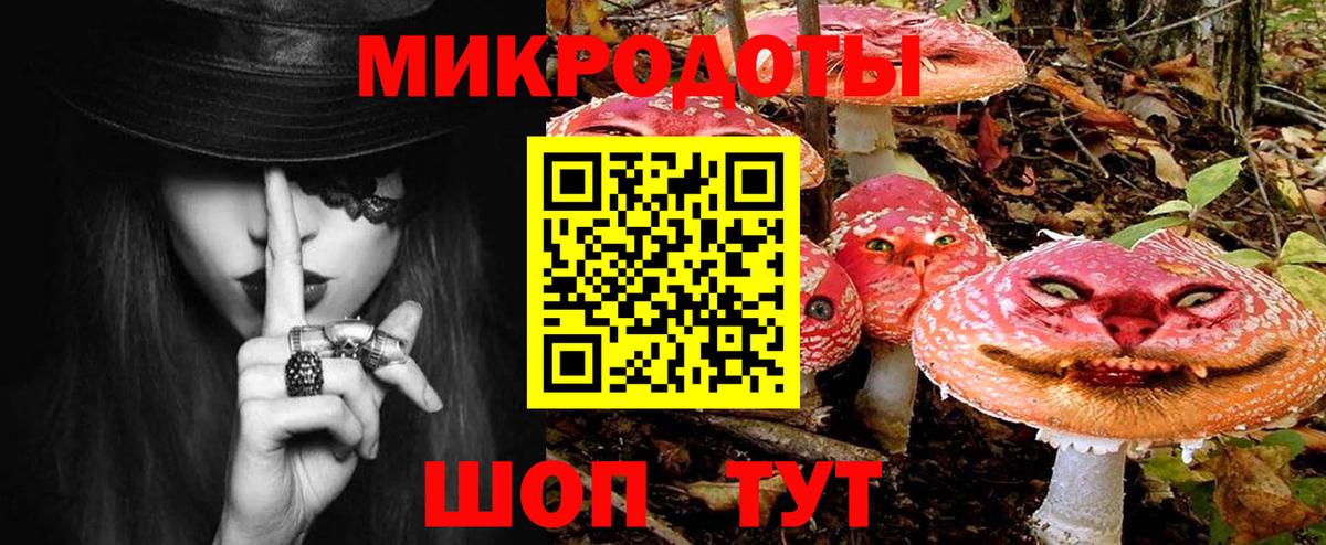Губкинский  Псилоцибиновые грибы прущие грибы  Вход с VPN 